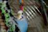 DSC00481.JPG