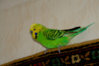 DSC00482.JPG