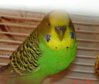 DSC07233.JPG