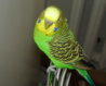 DSC07238.JPG