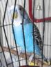 IMG_0112_600.gif