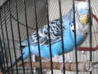 IMG_0116_600.gif