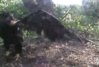 2011-06-06_150545_.jpg