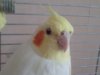 2011-06-20 13.58.44.jpg