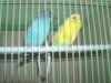 100_1672.JPG