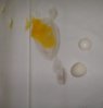 Empty egg3.jpg