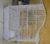 New Cage.jpg