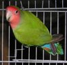 7f23e25426a0.jpg