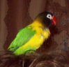 100_1335.jpg