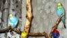 y_e784ffed.jpg