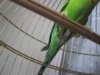 IMG_3077.jpg