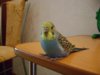 DSC01431.JPG
