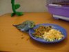 DSC01422.JPG