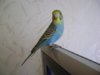DSC01473.JPG