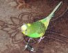 DSC00128.JPG