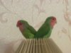 29072012142.jpg