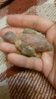 20151229_215636.jpg