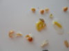 DSC02537.JPG