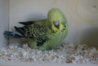 DSC00227.JPG