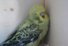 DSC00232.JPG