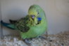 DSC00235.JPG