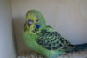 DSC00243.JPG