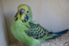 DSC00245.JPG