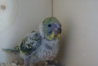 DSC00269.JPG