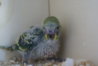 DSC00272.JPG