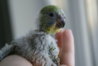 DSC00275.JPG
