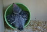 DSC00211.JPG