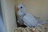DSC00284.JPG
