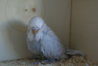 DSC00287.JPG