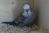 DSC00301.JPG
