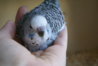DSC00305.JPG