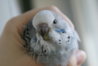 DSC00311.JPG