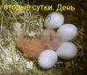 IMG_20160102_183133.jpg