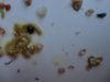 DSC02545.JPG