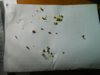 DSCN6831.JPG