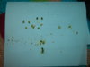 DSCN6835.JPG