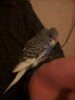 20160104_181752.jpg