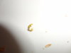 DSC02549.JPG