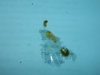DSCN6842.JPG