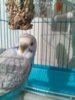 IMG_20160105_191107.jpg