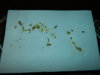 DSCN6847.JPG