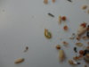 DSC02558.JPG