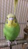 20160107_152054.jpg