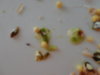 DSC02563.JPG