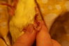 DSC05780.JPG
