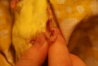 DSC05781.JPG